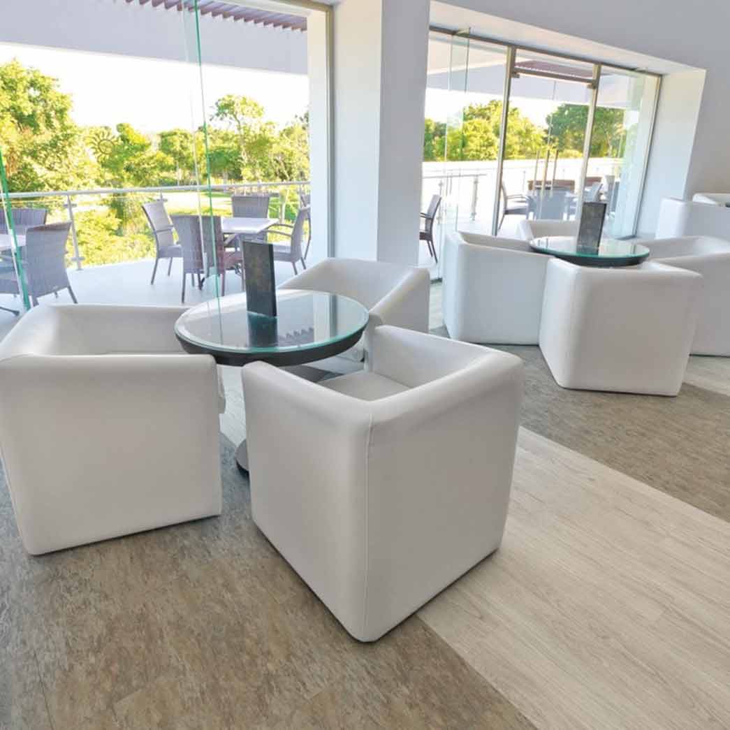 Adore Glue Down Luxury Vinyl Plank Naturelle Plus 7x48 Adapt NAT-2037 room