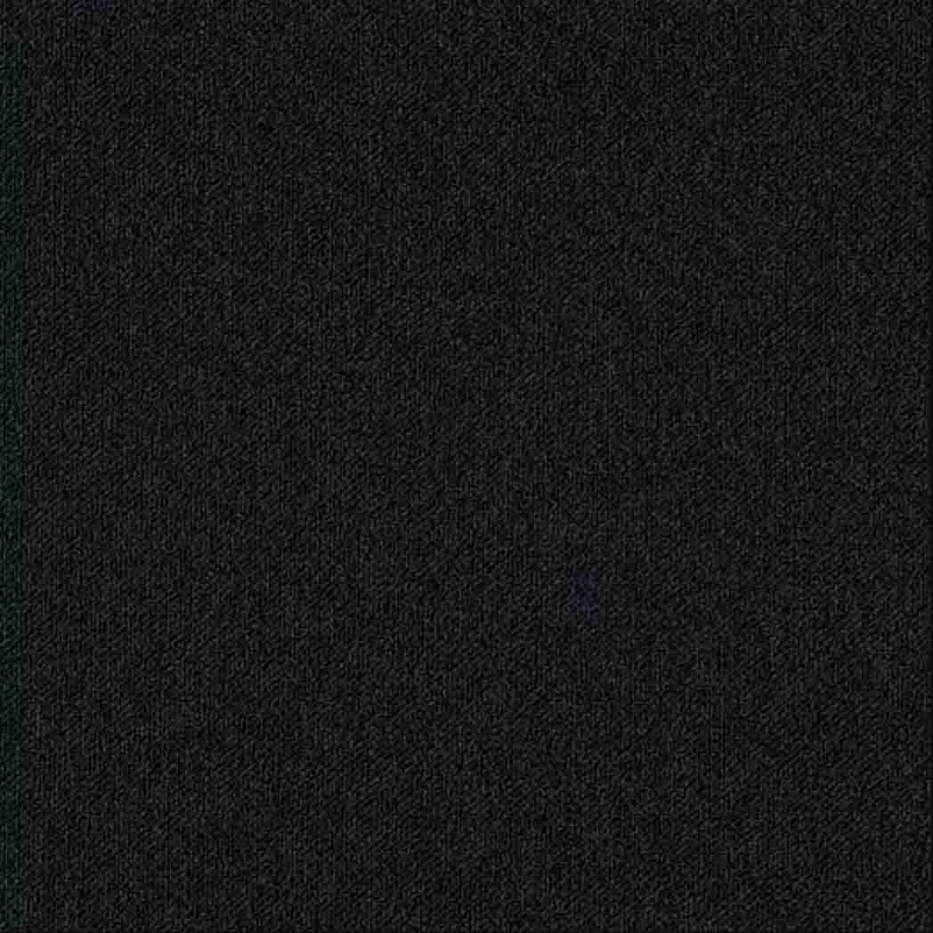 Aladdin Commercial Carpet Tile Huescapes 2B231 Black Sands 999