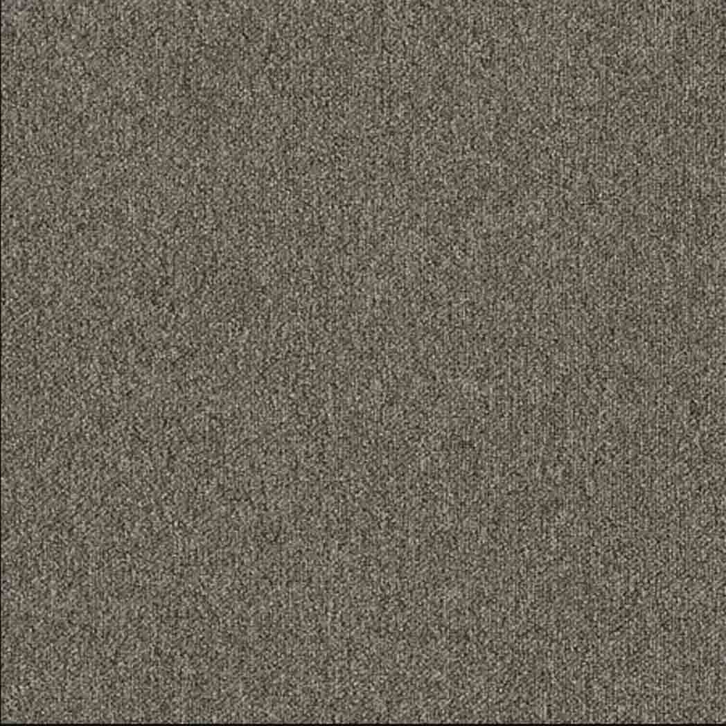 Aladdin Commercial Carpet Tile Huescapes 2B231 Timber Hills 858