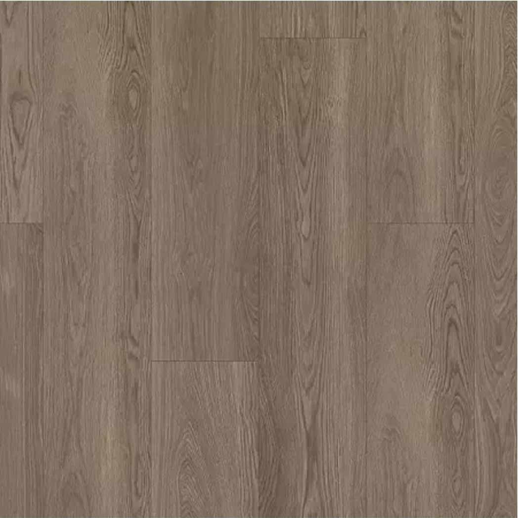 Aladdin Commercial Glue Down LVT Wildwood Preserve AH105 Harbor Seal Oak 870