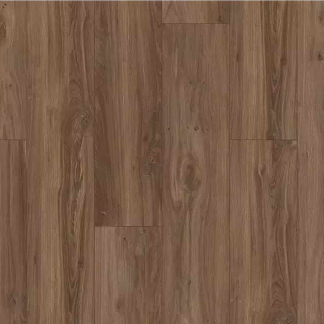 Aladdin Commercial Glue Down LVT Wildwood Preserve AH105 Loggerhead Oak 880