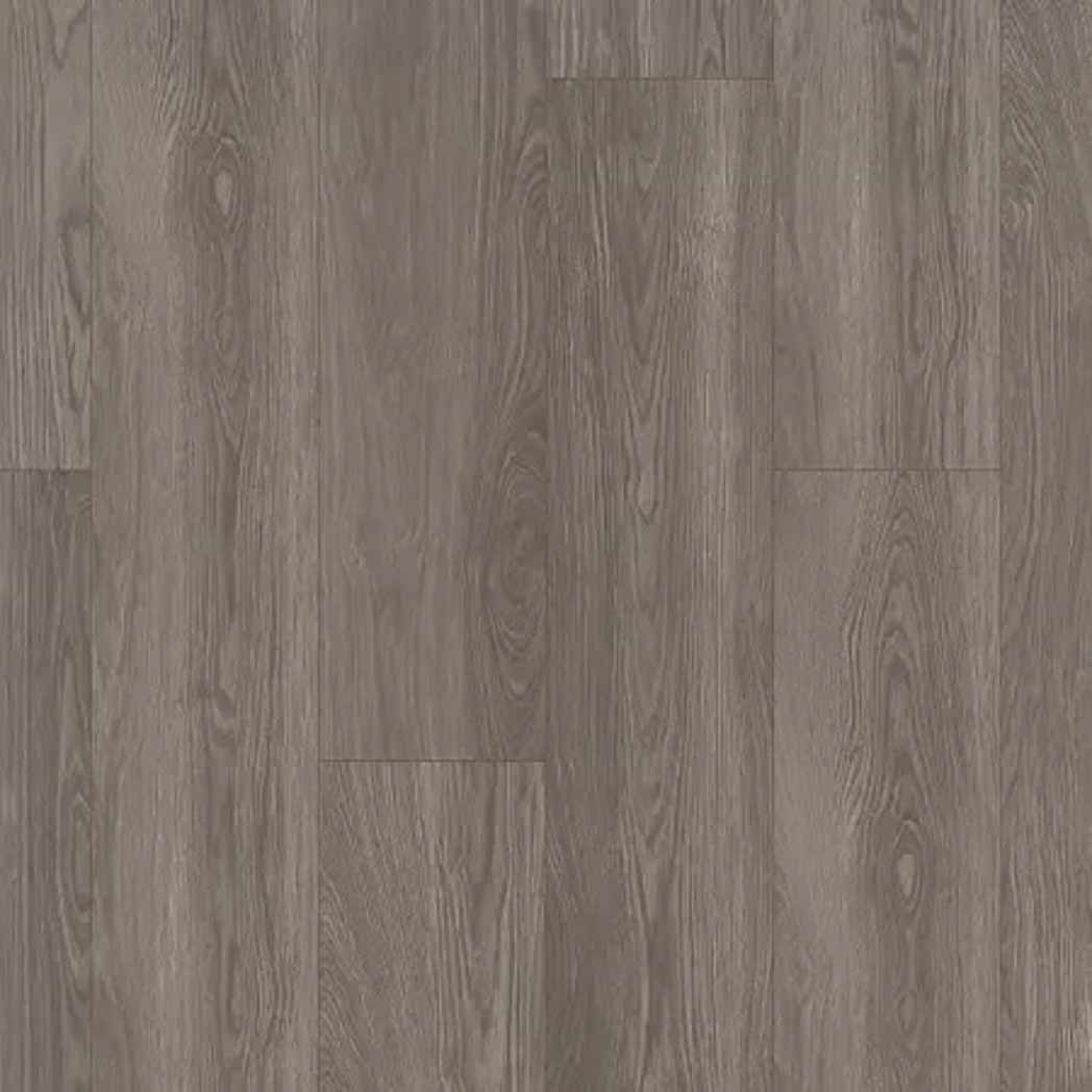 Aladdin Commercial Glue Down LVT Wildwood Preserve AH105 Old Onyx Oak 977