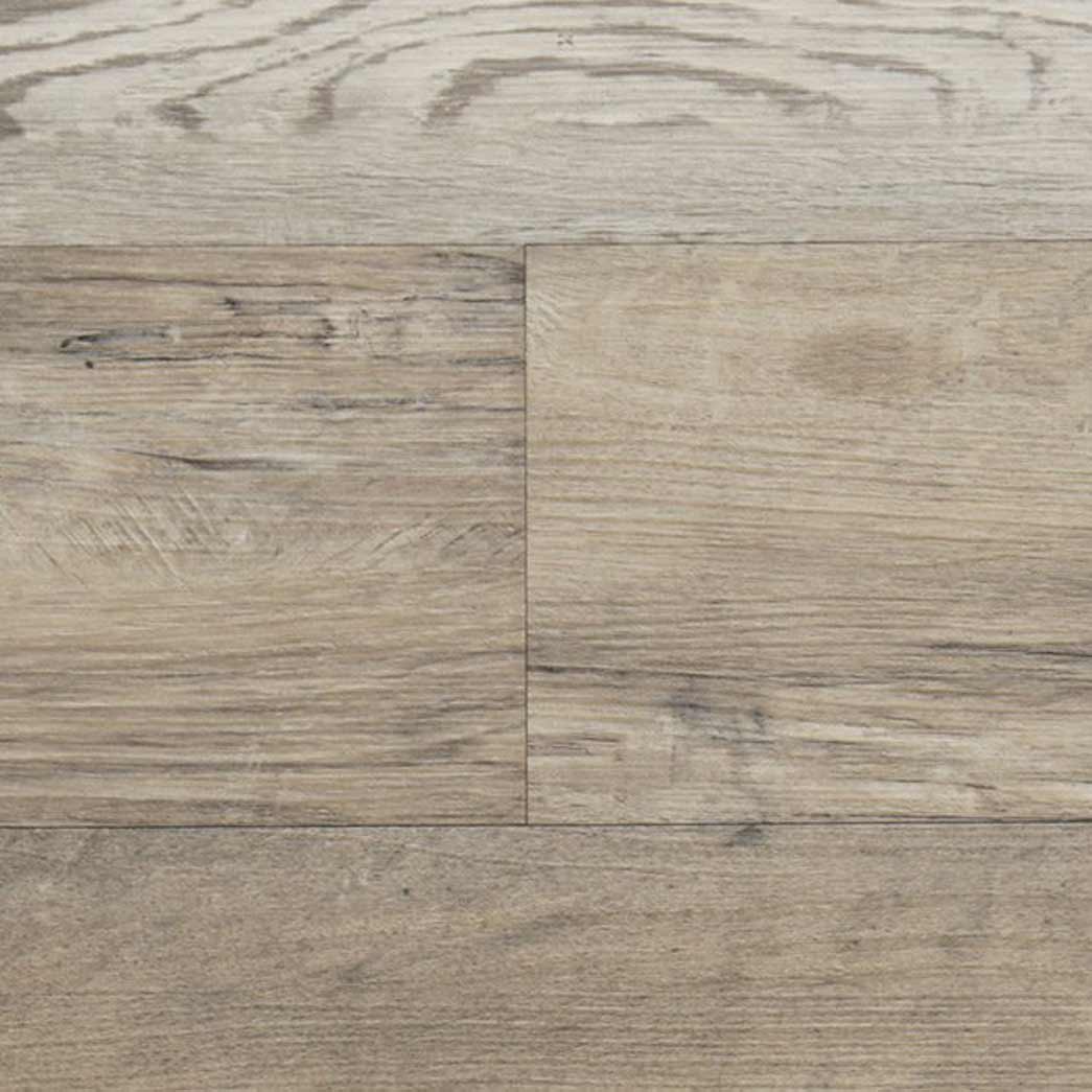 Audacity SPC LVP Audacity One 7