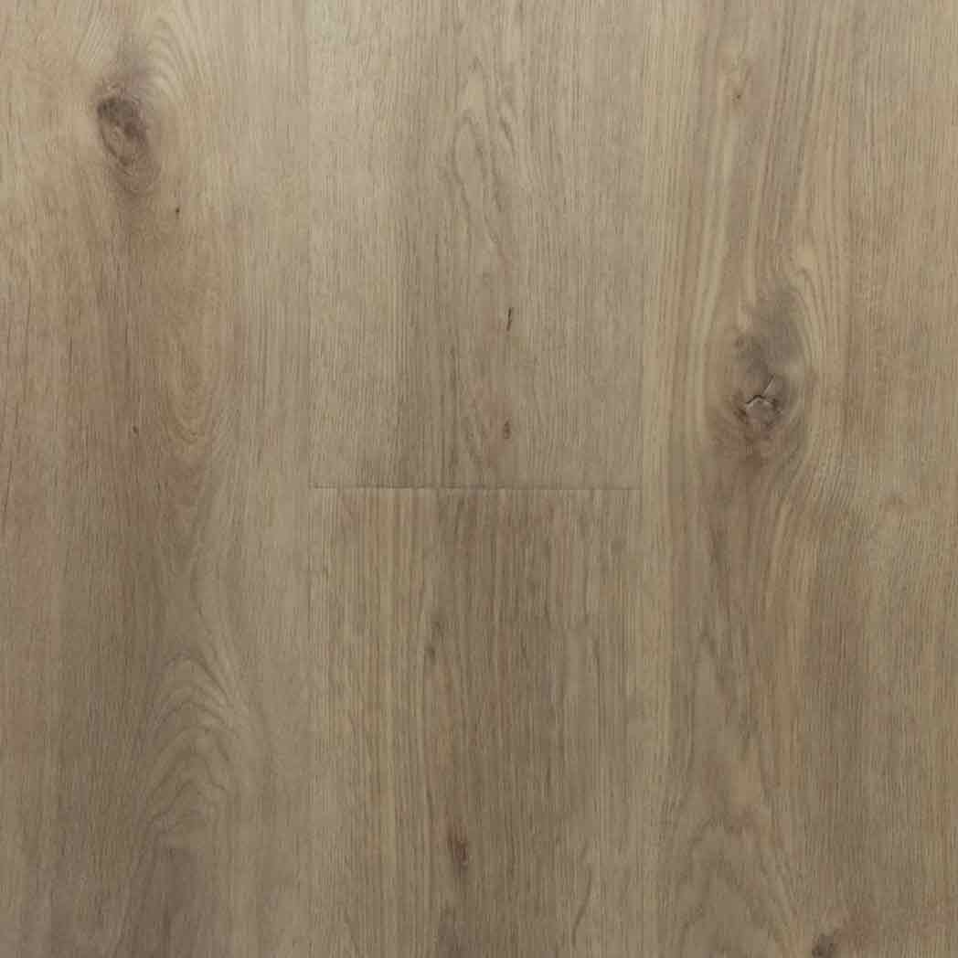 AxisCor SPC LVP Ascend Apex MLV50536