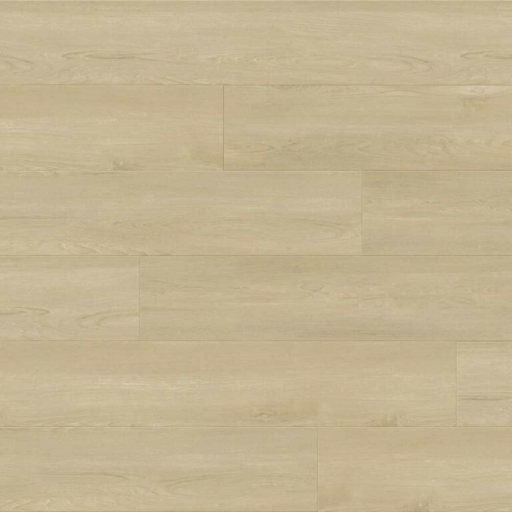 BHW Floors SPC Luxury Vinyl Plank Sawatch Euclid BAM55667