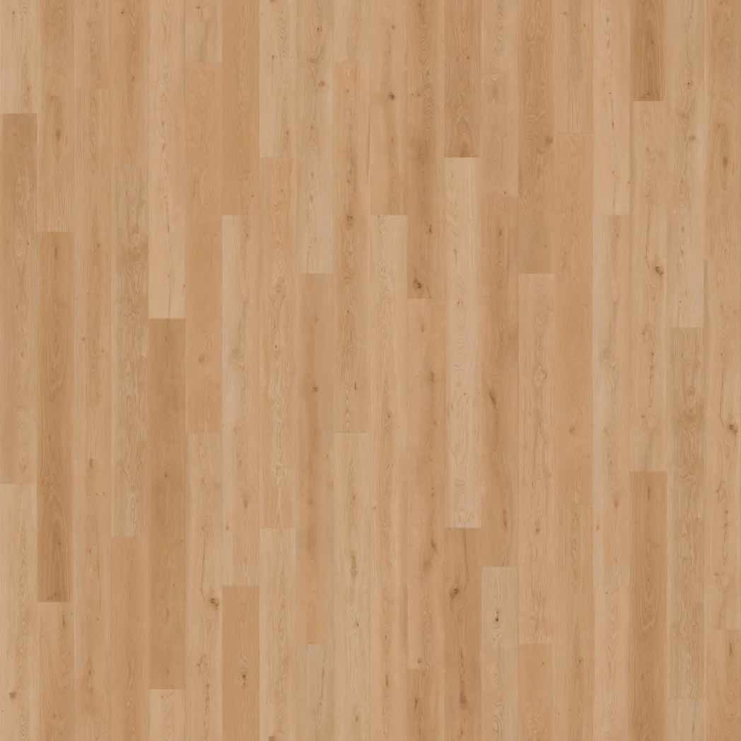 Cali Floors Laminate Mavericks Collection Harbor Honey