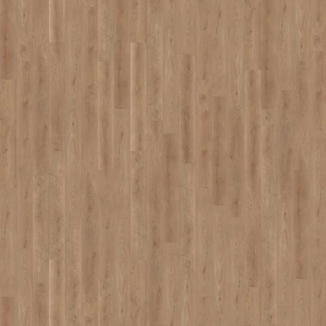 Cali Floors Santa Cruz 9.5" Wide 12mm Thick Laminate