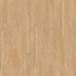 Cali Floors Santa Cruz 9.5" Wide 12mm Thick Laminate