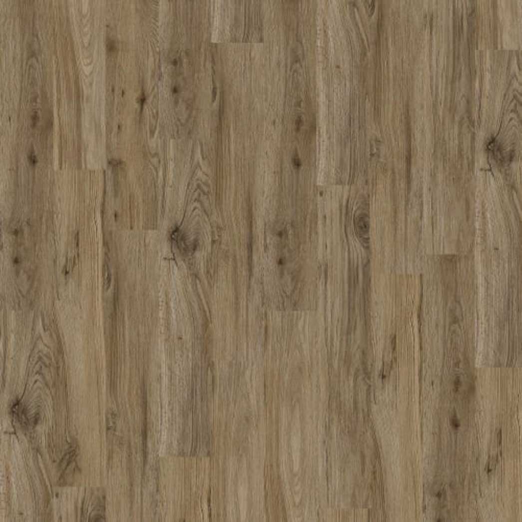 Chesapeake Devine 6" Wide 2mm Thick Glue Down Luxury Vinyl Plank