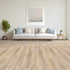 Chesapeake Laminate Freedom Crystal 39569860 room