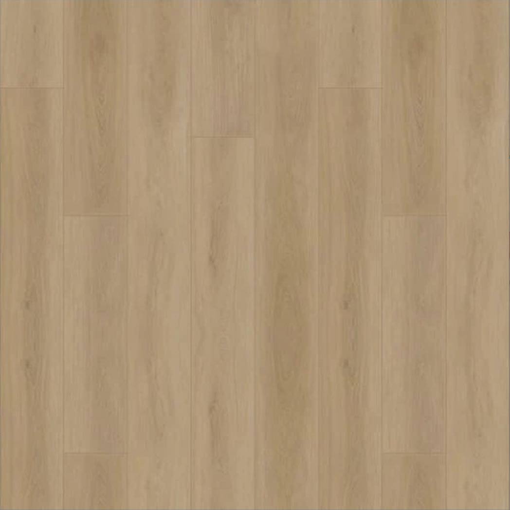 Chesapeake Laminate Fusion Design XL Edgecomb CHM20651
