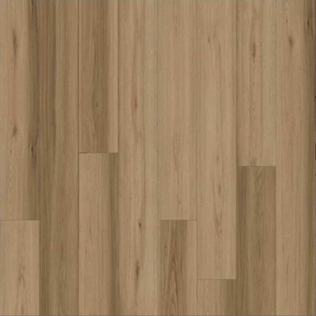 Chesapeake Fusion Design XL 9.3