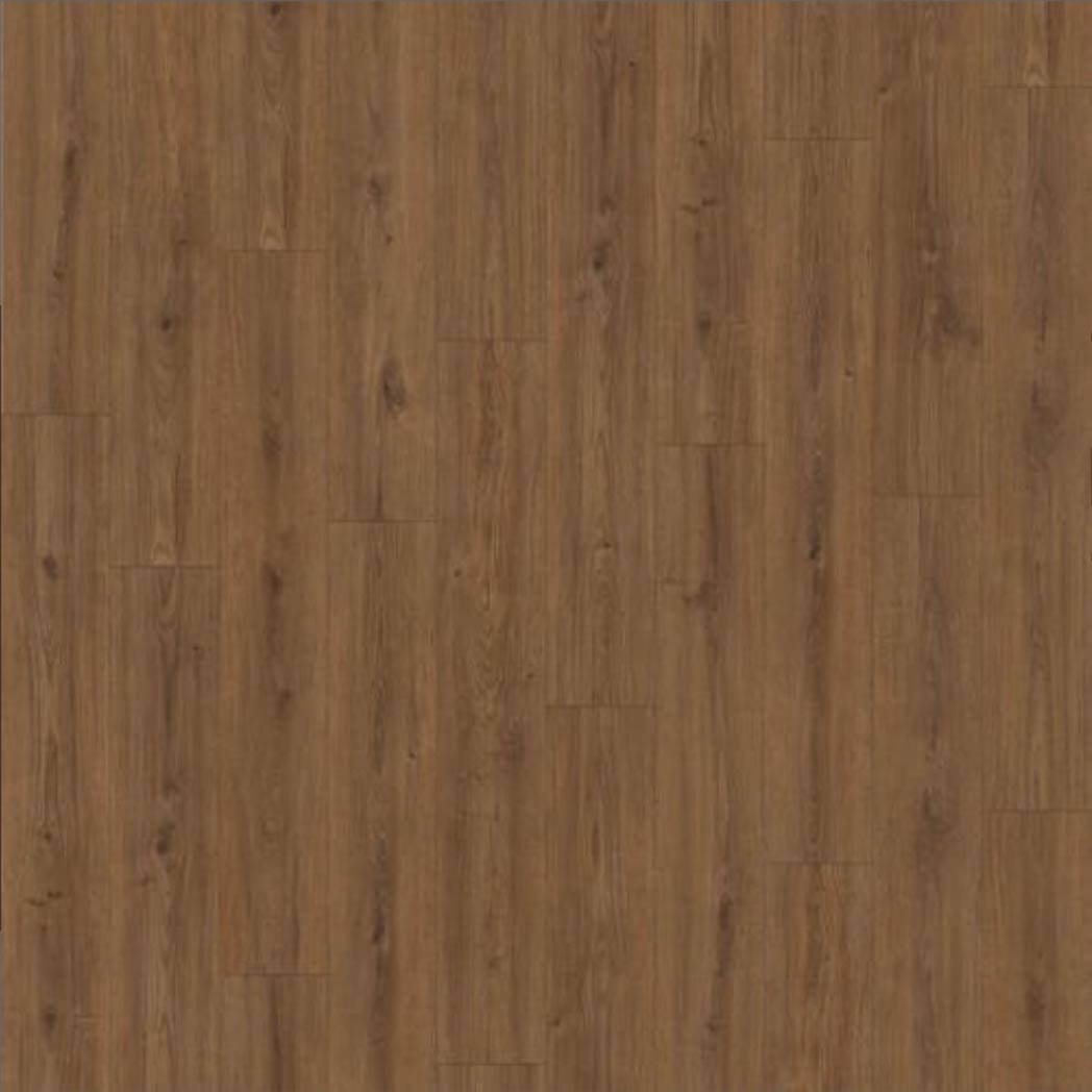 Chesapeake Laminate Timber Design Fernhaven CHM67654