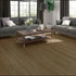 Chesapeake SPC Luxury Vinyl Plank Statesman EIR Hamilton CHLSM0002 room