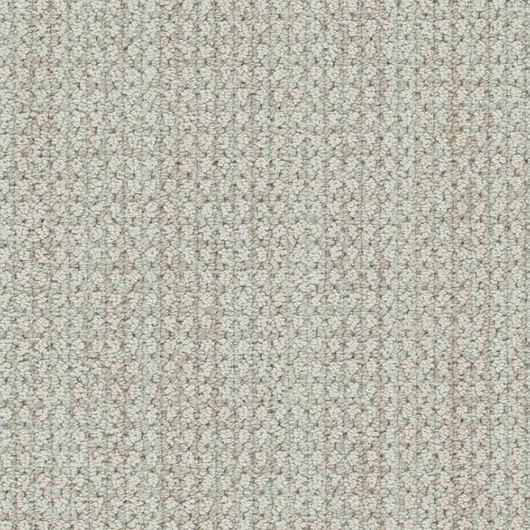 DreamWeaver Area Rugs Brunswick DR540 Alpaca 8196