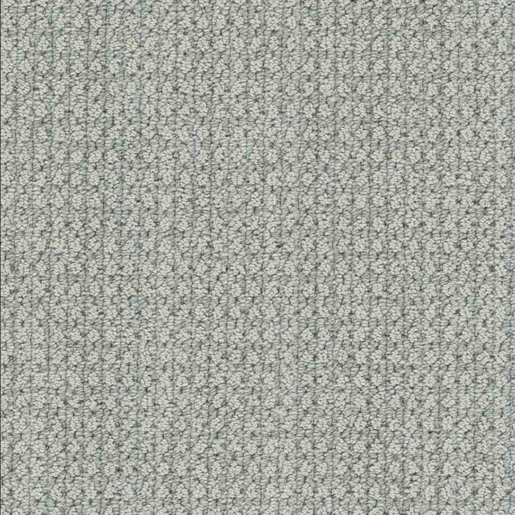 DreamWeaver Area Rugs Brunswick DR540 Cozy Night 8223