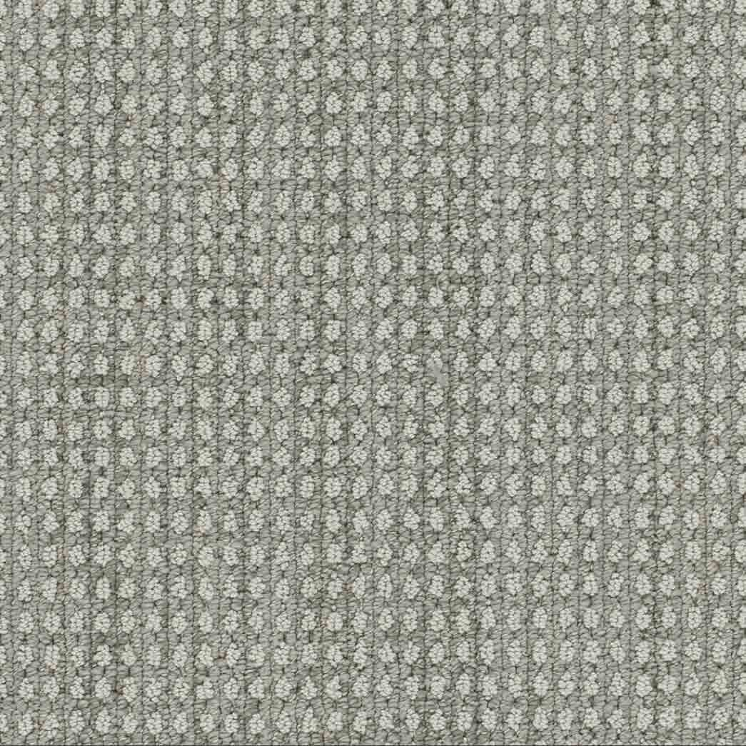 DreamWeaver Area Rugs Brunswick DR540 Desert Moon 8028