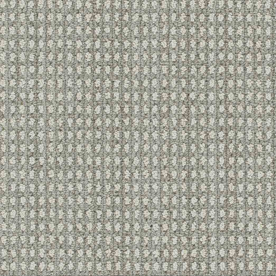 DreamWeaver Area Rugs Brunswick DR540 Dew Drops 8274