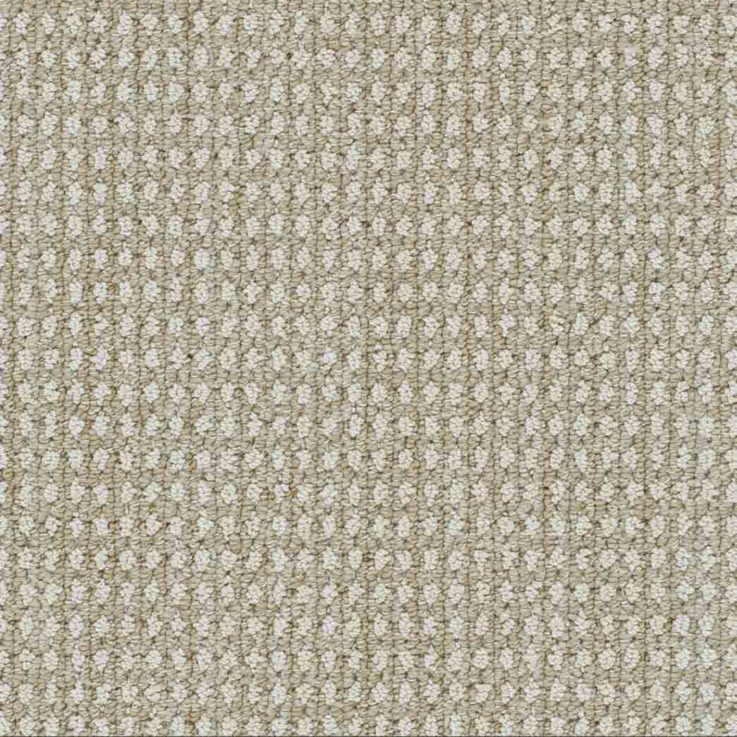 DreamWeaver Area Rugs Brunswick DR540 Natural Glow 8129