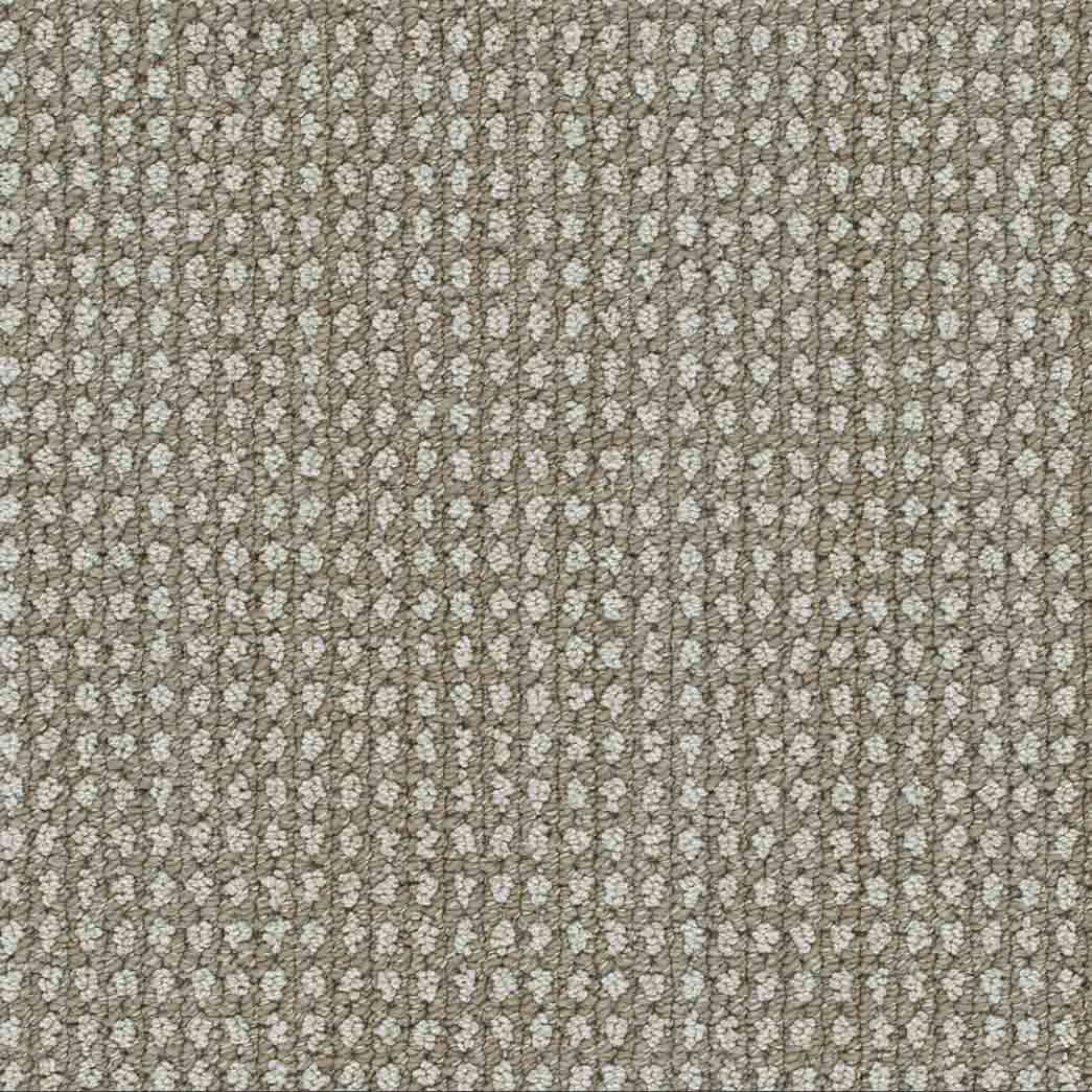 DreamWeaver Area Rugs Brunswick DR540 Shetland 8081