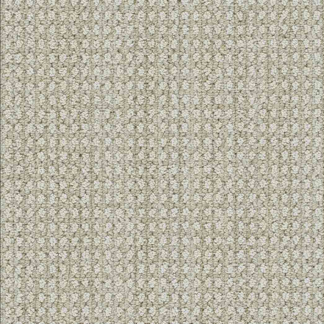 DreamWeaver Area Rugs Brunswick DR540 Shifting Sands 8060