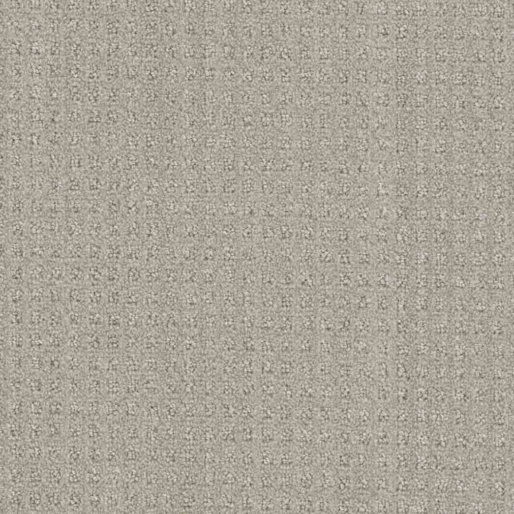 DreamWeaver Area Rugs Dublin DR450 Chevoit 3912