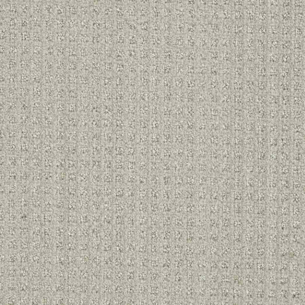 DreamWeaver Area Rugs Dublin DR450 Merino 2703