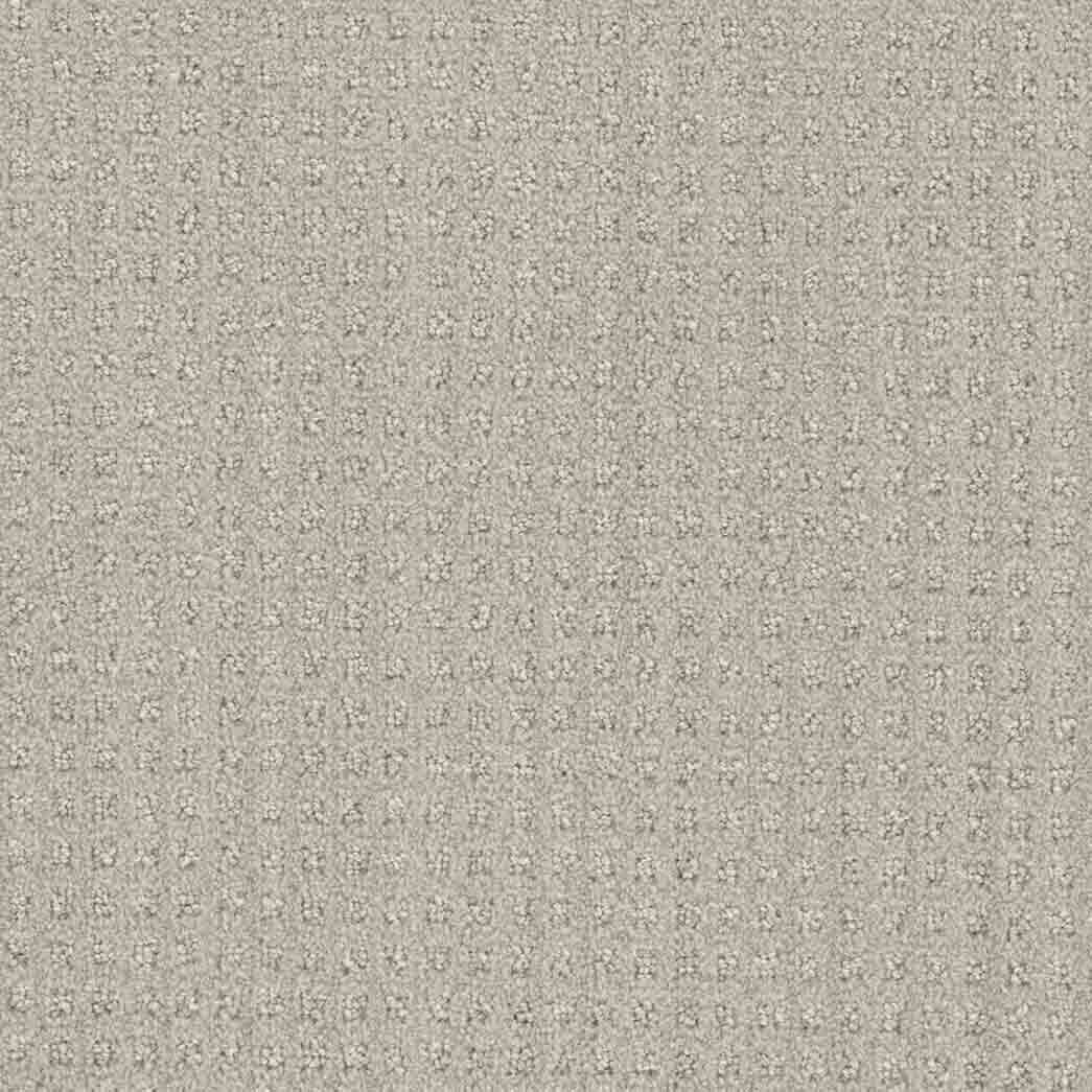 DreamWeaver Area Rugs Dublin DR450 Stone Spinning 3927