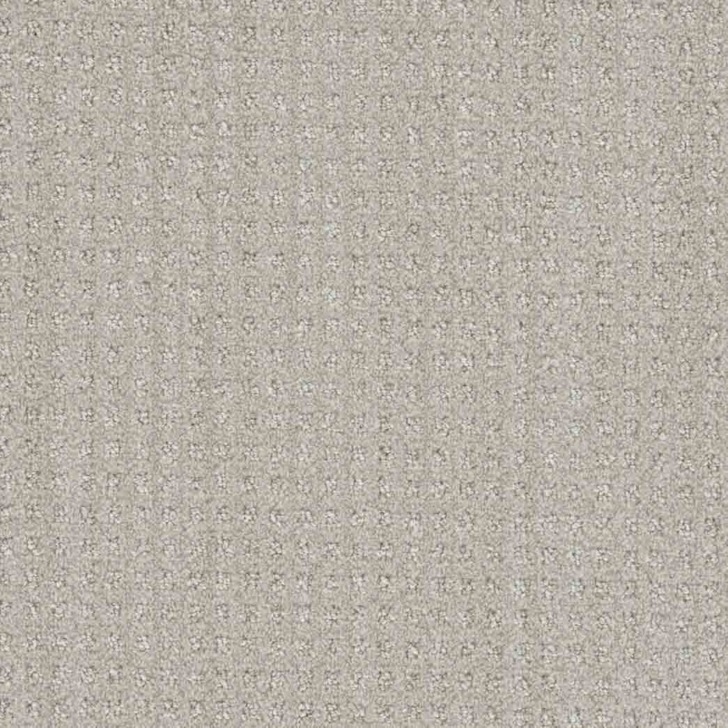 DreamWeaver Area Rugs Dublin DR450 Tweel 3915