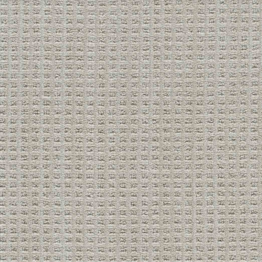 DreamWeaver Area Rugs Dublin II DR450 Cabra 8043