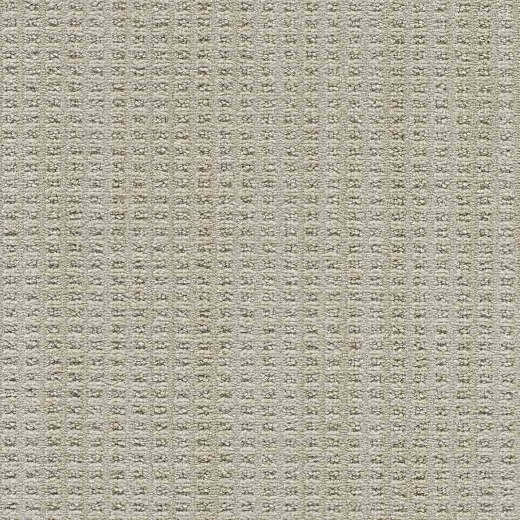 DreamWeaver Area Rugs Dublin II DR450 Deerpark 8278