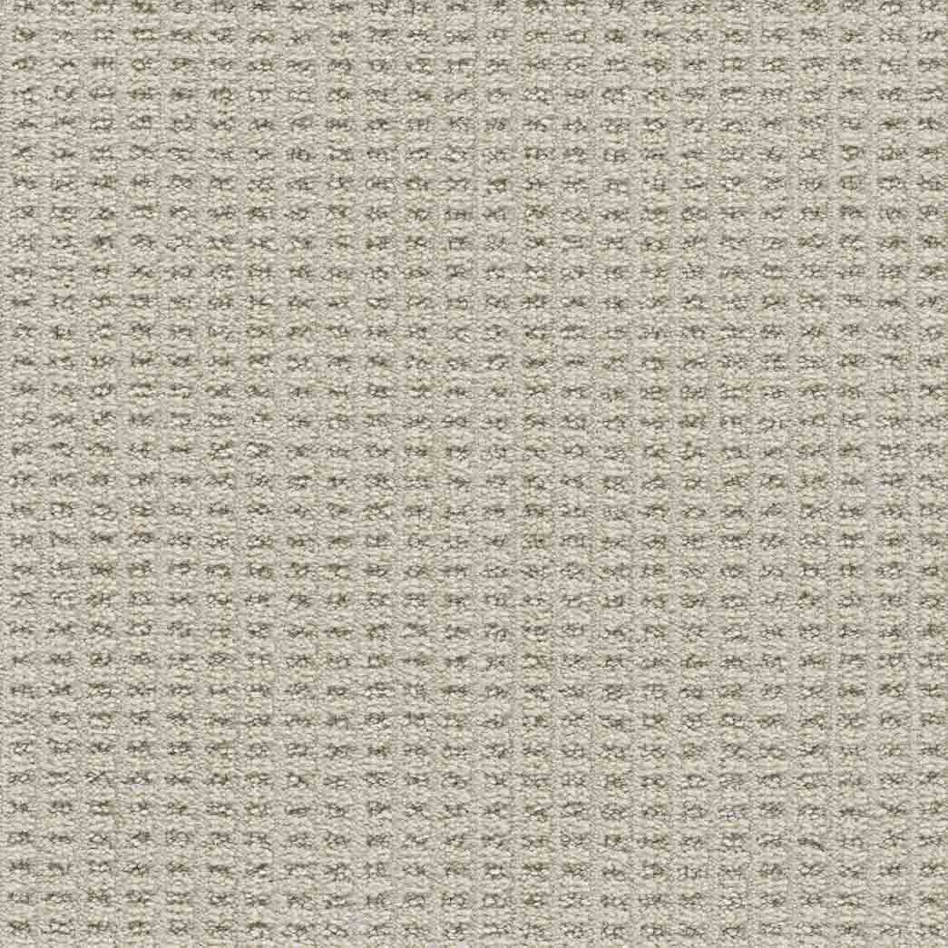 DreamWeaver Area Rugs Dublin II DR450 Dundrum 8187