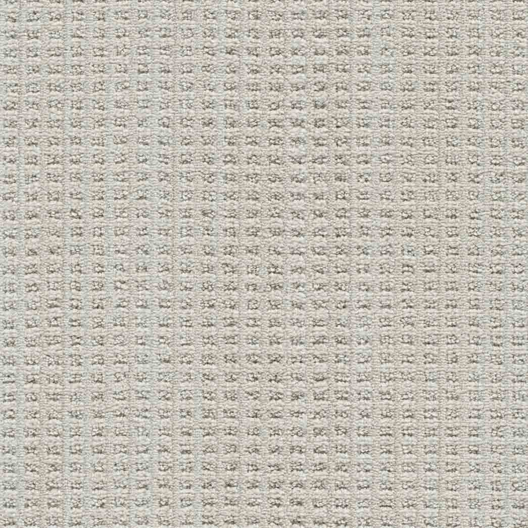 DreamWeaver Area Rugs Dublin II DR450 Merino 2703