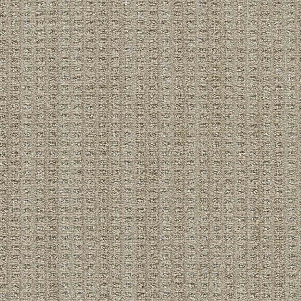 DreamWeaver Area Rugs Dublin II DR450 Sandymount 8073