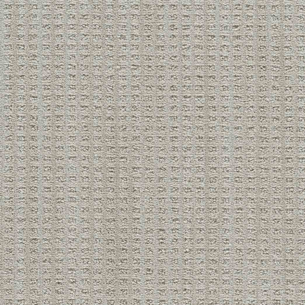 DreamWeaver Area Rugs Dublin II DR450 Tweel 3915