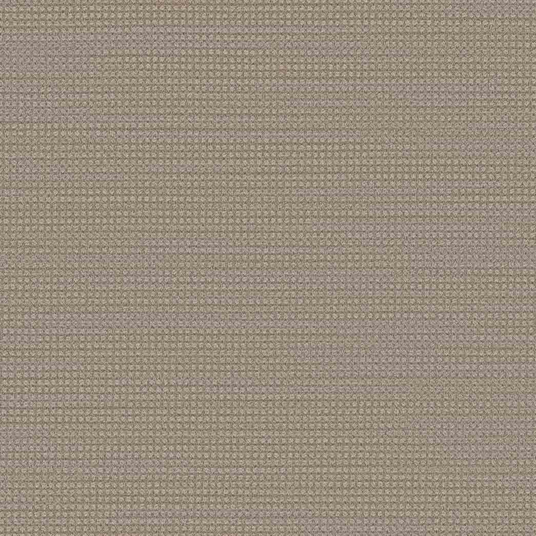 DreamWeaver Area Rugs Montreal DR442 Elk Point 8574