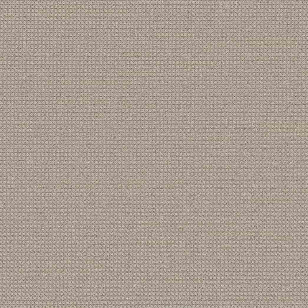 DreamWeaver Area Rugs Montreal DR442 Lion's Bay 8454