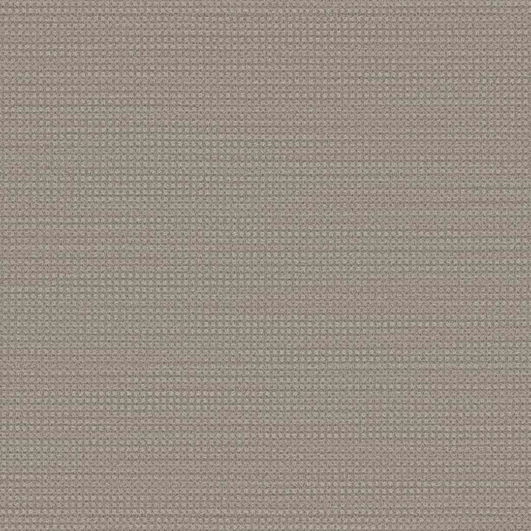 DreamWeaver Area Rugs Montreal DR442 Shellbrook 8580