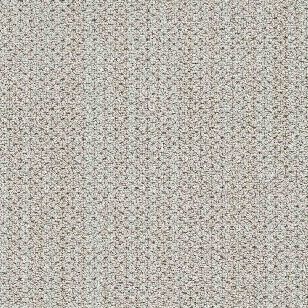 DreamWeaver Area Rugs Montreal II DR442 Cabra 8043