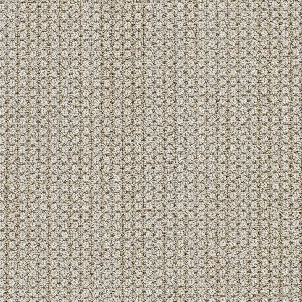 DreamWeaver Area Rugs Montreal II DR442 La Casa 8211