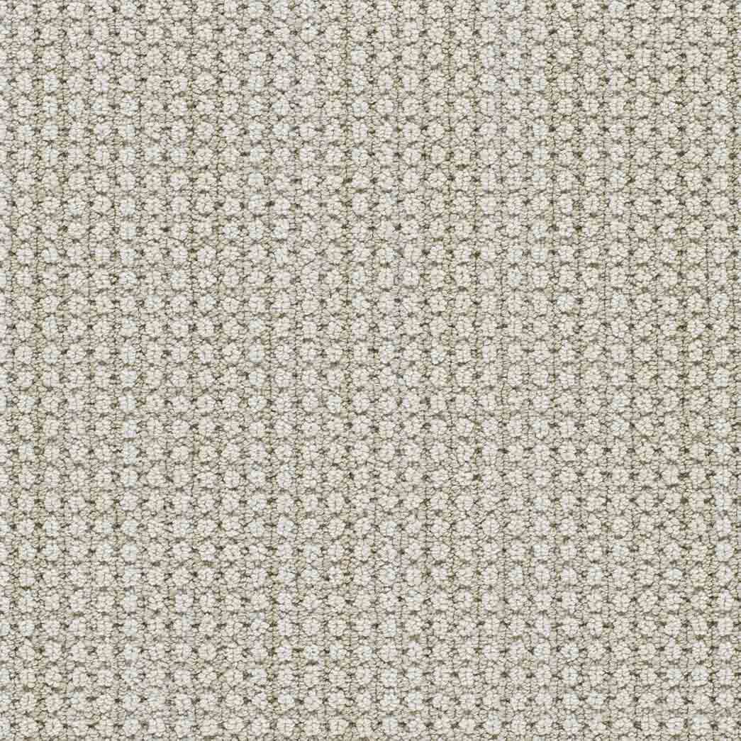 DreamWeaver Area Rugs Montreal II DR442 Lion's Bay 8454