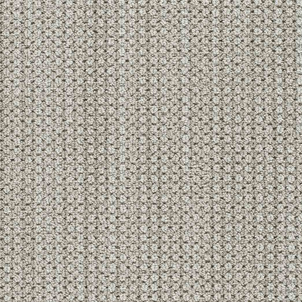 DreamWeaver Area Rugs Montreal II DR442 Shellbrook 8580