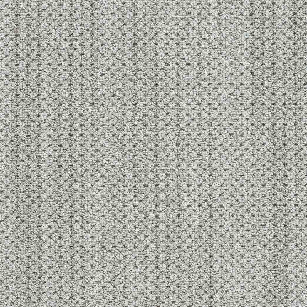 DreamWeaver Area Rugs Montreal II DR442 Tralee 8042