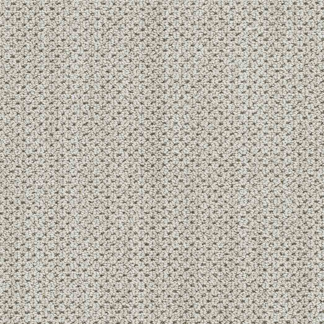 DreamWeaver Area Rugs Montreal II DR442 Via Bella 8115