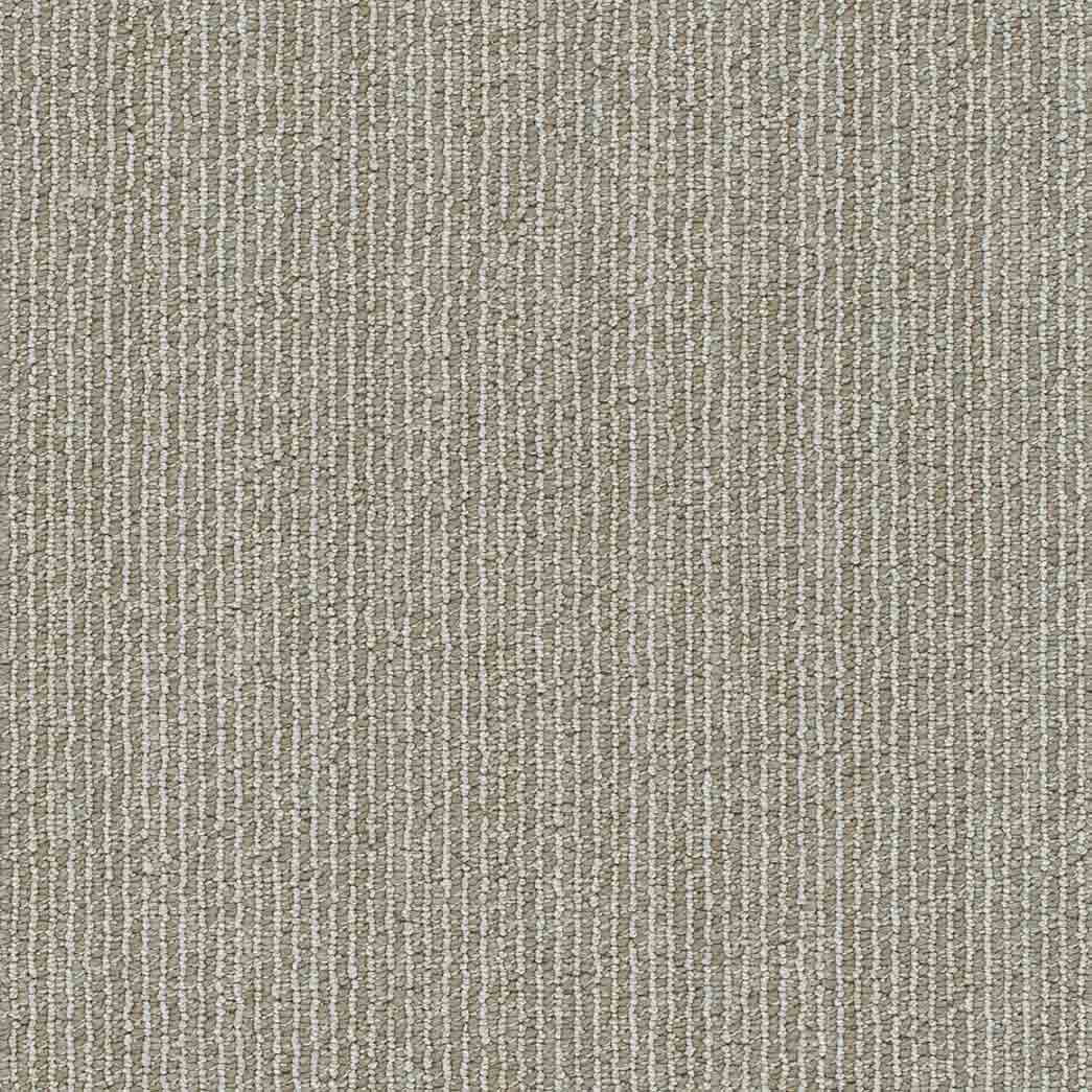 DreamWeaver Area Rugs Newport DR345 Shetland 8081
