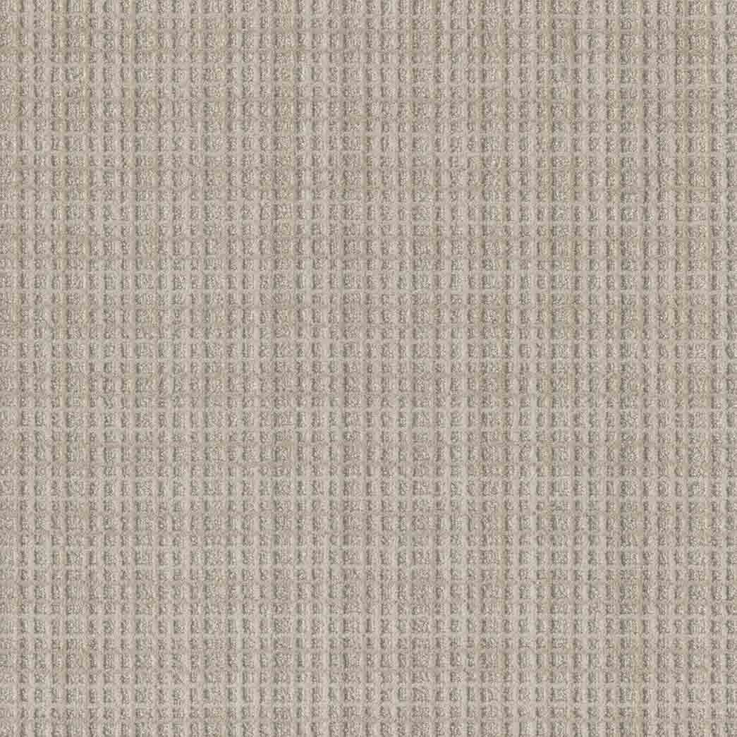 DreamWeaver Area Rugs Suffolk DR810 Ellis 8049