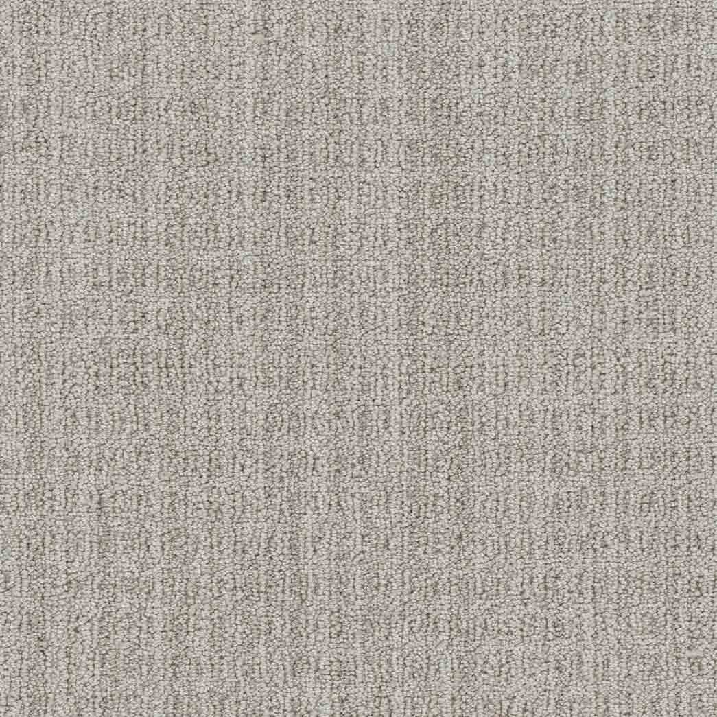 DreamWeaver Area Rugs Windsor DR460 Catalyst 8208