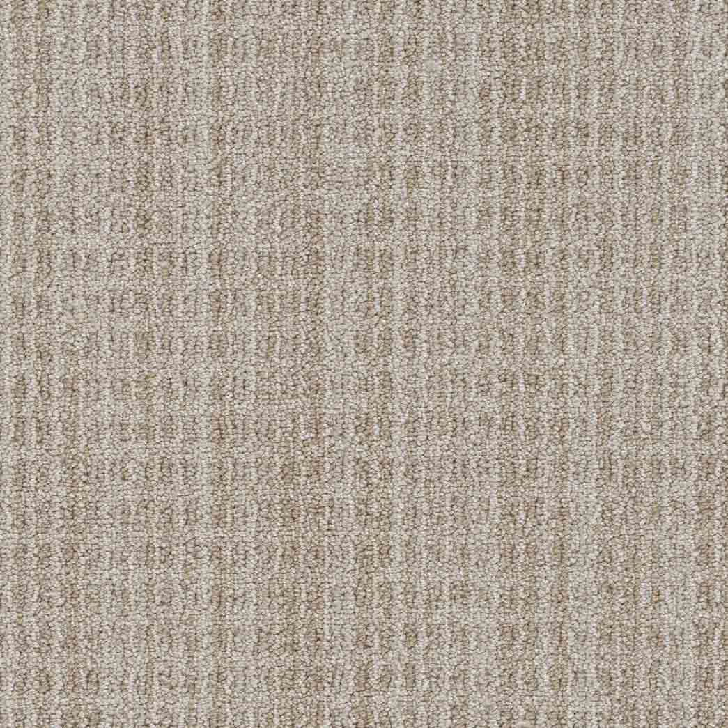 DreamWeaver Area Rugs Windsor DR460 Sandymount 8073