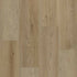 Engineered Floors Glue Down DLVT Meadow Woods L502 Riverstone 5021