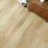 Engineered Floors Empower L055 7" Width 12mm Thick Laminate